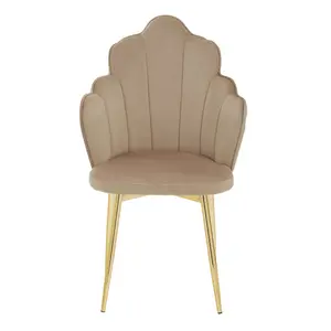 Interiors by Premier Tian Mink Velvet Chair