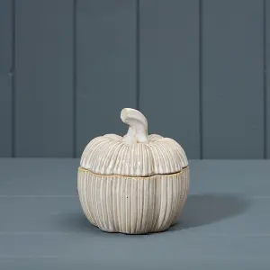 Ceramic Pumpkin Pot Ribbed Pattern Autumn Home Décor Seasonal Large (15cm)