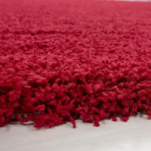 Luxurious Shaggy Rugs Soft Extra Thick Area Rugs Heavy 5cm Dense Pile for Living Room Bedroom Hallway (Red, 120 x 170cm)