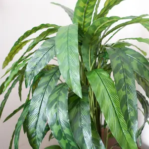 90cm Artificial Calathea Plant Variegated