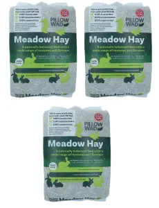 3pk Superior Quality Large Bio Meadow Hay Small Animal Bedding Feeding 2.25KG