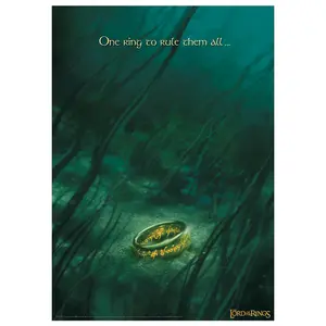 The Lord of the Rings Limited Edition Art Print