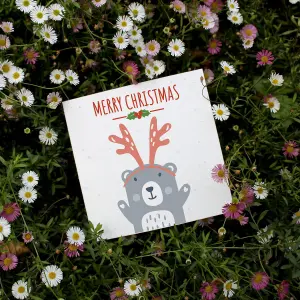 Easy Eco Wildflower Christmas Bear Cards - Eco-friendly and Plantable - Pack of 10