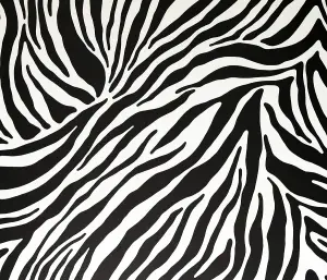 Fablon Sticky Back Self Adhesive Vinyl Zebra - 45cm X 2m FAB10132