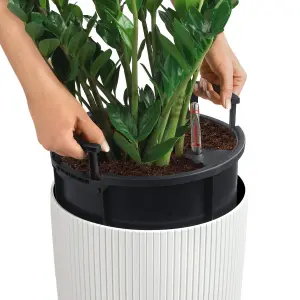 LECHUZA CILINDRO Color 32 White Floor Self-watering Planter with Substrate and Water Level Indicator D32 H56 cm, 13L