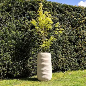 Primrose Tall Round Ribbed Terracotta Planter In Antique Cream 80cm