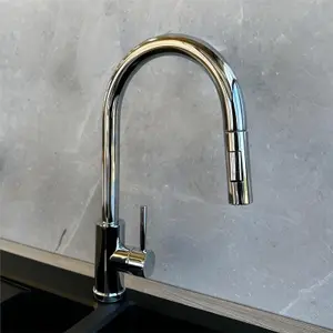 Liquida CT452CH Single Lever Pull Out Mono Mixer Chrome Kitchen Mixer Tap