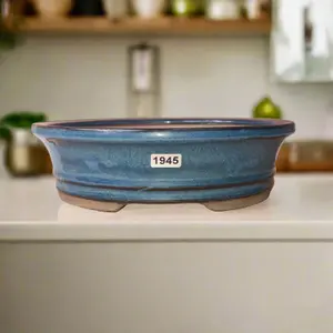 21cm Glazed Bonsai Pot - Oval - 21cm x 17cm x 6cm - Blue