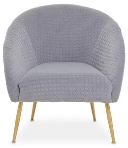 Interiors by Premier Grey Occasional Chair, Luxury Grey Velvet Occasional Chair, Comfortably Fashionable Grey and Gold Chair