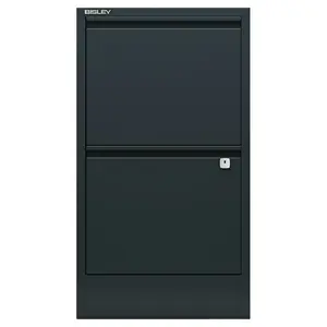 Home Filer 41.3cm Wide 2 -Drawer Solid Wood File Cabinet Anthracite