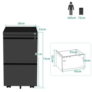 39cm Wide 2 -Drawer Mobile Steel File Cabinet Black