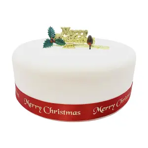 Anniversary House Deluxe Christmas Cake Decorating Kit (Pack of 4) Gold/Green/Red (One Size)