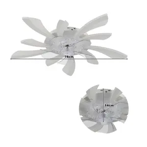 Annuska 78cm Ceiling Fan with LED Lights White