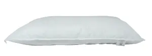 Sarah Jayne 500 gram Fill Pillow Pair