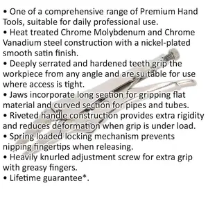 210mm Long Nose Locking Pliers - Deeply Serrated 60mm Jaws - Riveted Handle