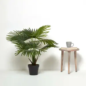 Homescapes Artificial Fan Palm Tree in Pot, 80 cm Tall