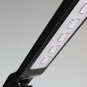 Luminosa Rai LED Desk Lamp with Alarm 10W