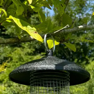 Large Hanging Steel Bird Nut Feeder (Set of 2)