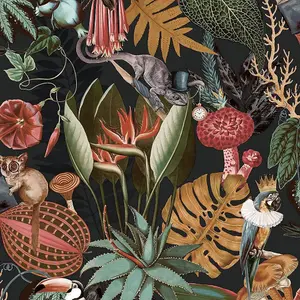 Holden Wonderland Exotic Tropical Birds Animals Rainforest Jungle Palm Wallpaper Black 91193