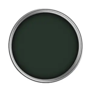 PaintNuts UPVC Door & Window Satin Paint - Fir Green - 1L Tin (RAL6009)