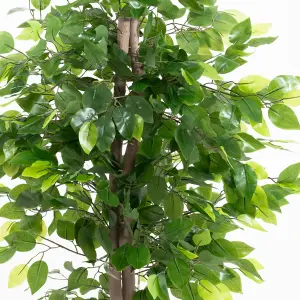 Blooming Artificial - 90cm / 3ft Artificial Weeping Fig Ficus