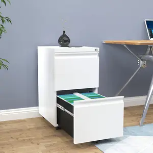 39cm Wide 2 -Drawer Mobile Steel File Cabinet White