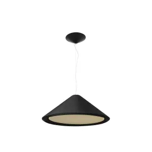 Luminosa Hue Black Pendant 70cm, E27