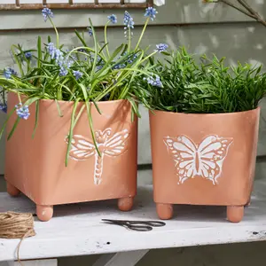 Set of 2 Embossed Butterfly Dragonfly Rustic Indoor Outdoor Garden Planter Footed Terracotta Flower Plant Pots