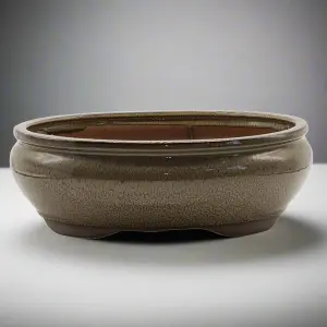 31cm Glazed Bonsai Pot - Oval - 31cm x 25cm x 11cm - Green