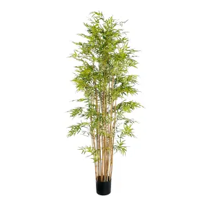 Blooming Artificial - 210cm / 7ft Faux Japanese Bamboo