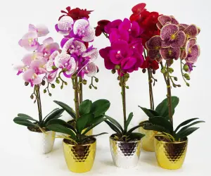 50cm Phalaenopsis Orchid Artificial - Purple Leopard - Gold Pot