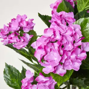 Homescapes Lilac Hydrangea Artificial Plant with Pot, 85 cm