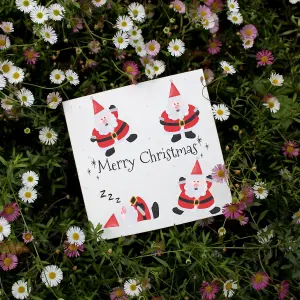 Easy Eco Wildflower Santa Christmas Cards - Eco-friendly and Plantable - Pack of 10