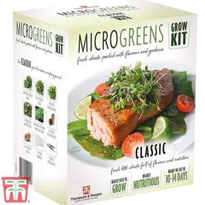 Seed Grow Kit - Microgreens Classic - Ideal Gift