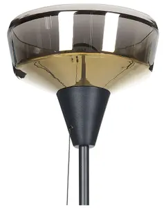 Metal Floor Lamp Black and Gold TALPARO