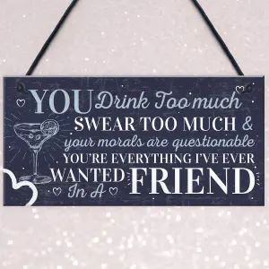 Red Ocean Funny Best Friend Friendship Sign Drink Too Much Gin Vodka Birthday Gift Plaque