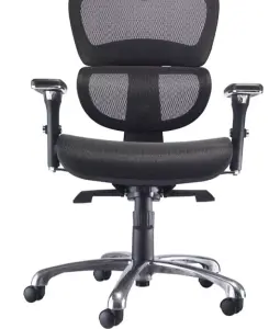 Rainbow Zebra High Back Ergonomic Mesh Office Chair with Arms and Headrest