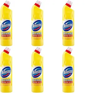 Domestos Citrus Bleach 750ml (P) (Pack of 6)