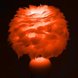 E27 Modern Apricot Pink Feather Lampshade Table Lamp Fixture Decor - Warm Light