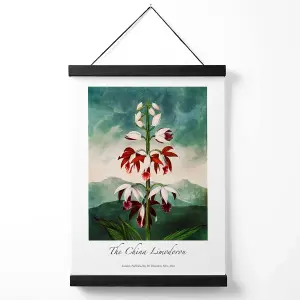 Vintage Floral Exhibition -  The China Limodoron Medium Poster with Black Hanger