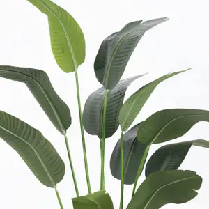 Blooming Artificial - 200cm / 6.5ft Artificial Strelitzia