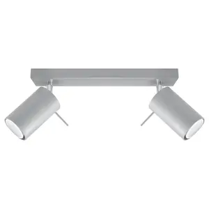 Ring Steel Grey 2 Light Classic Ceiling Light