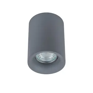 Luminosa Modern Surface Mounted Grey 1 Light  LED, GU10