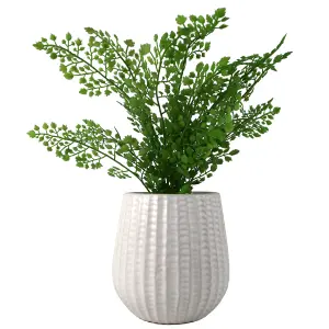 16cm Tall White Ceramic Planter