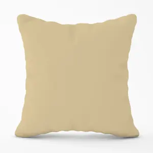 Biscuit Brown Outdoor Cushion 45cm x 45cm