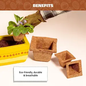 COCO & COIR Biodegradable Square Plant Pots 15 cm  6 inch  6 pack  Plastic Free Eco-friendly Propagation Pots