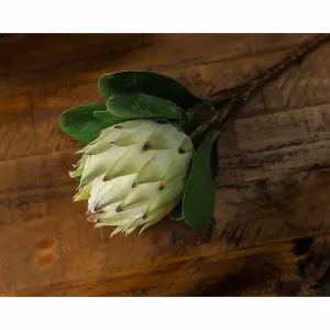 Hill Interiors Protea White Faux Plant Large