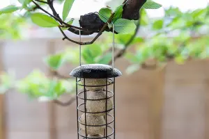 Wild Bird Fat Ball Feeders - Metal Mounted Station Bird Feeder Hanging