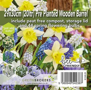 Pre-Planted Wooden Barrel Planter-44 Blue & Yellow Spring Flowering Bulbs-Just Add Water-29x30cm-Peat-Free Compost-Bee-Friendly