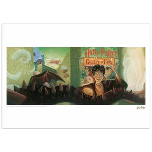 Harry Potter & the Goblet of Fire Book Cover Artwork Limited Edition Art Print